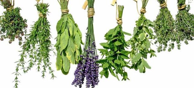 گیاهان برای افزایش قدرت در مردان